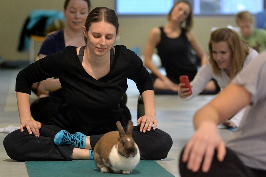 Yoga bunny chaturbate